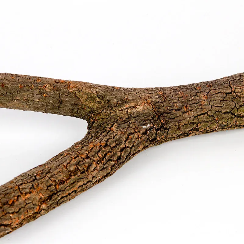Natural Wood Bird Perch Stand Branch for Cages - 15/20/30cm, Assorted Shapes, Pet Bird Accessories for Parrots, Cockatiels, Finches thumbnail 6