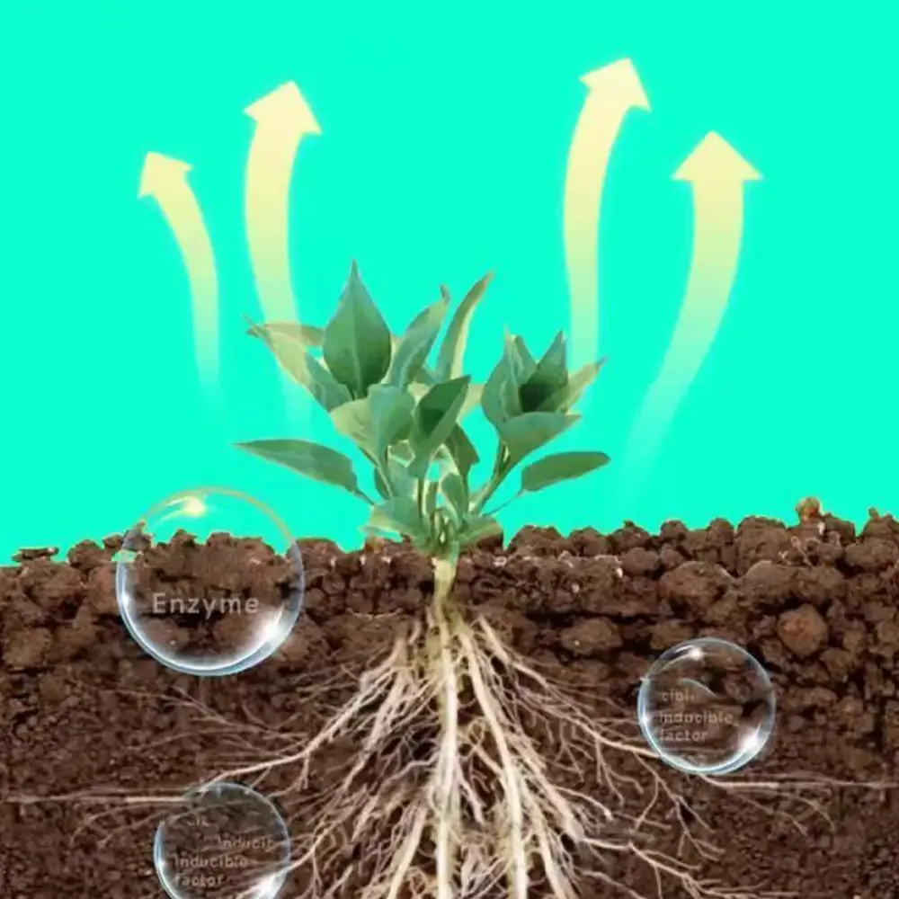 Fast Rooting Nutrient Liquid Stimulator for Plants - Rapid Root Growth Supplement, Strengthens Roots, Stems, Leaves, Enhances Nutrient Uptake - Garden Plant Care showcase 8