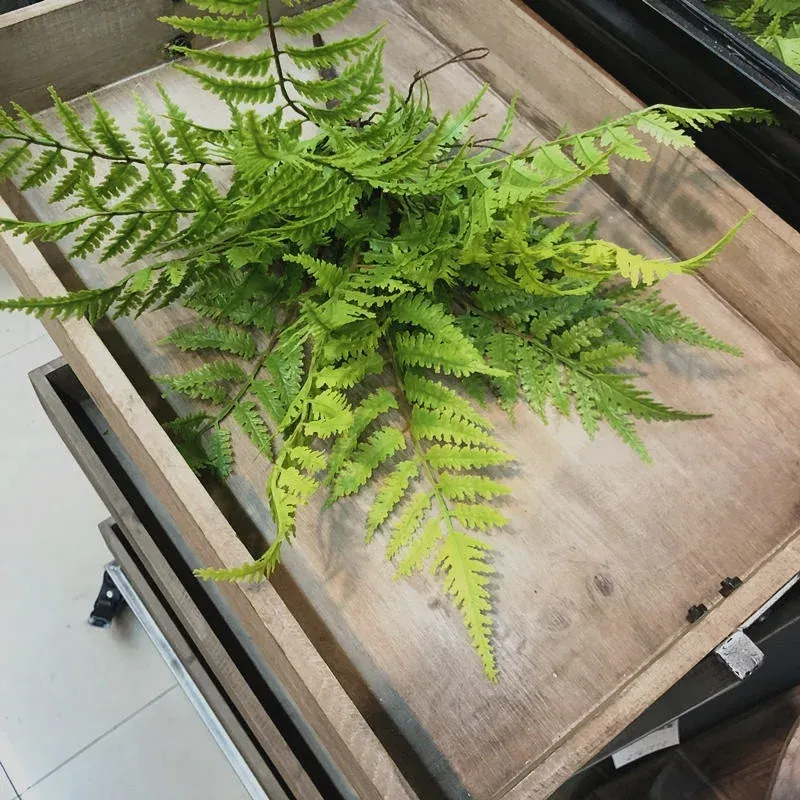Artificial Persian Fern Leaves Plant - 7 Branch Green Fake Plant for Home Bedroom Party Decoration, 43cm DIY Floral Arrangement Accessory showcase 3