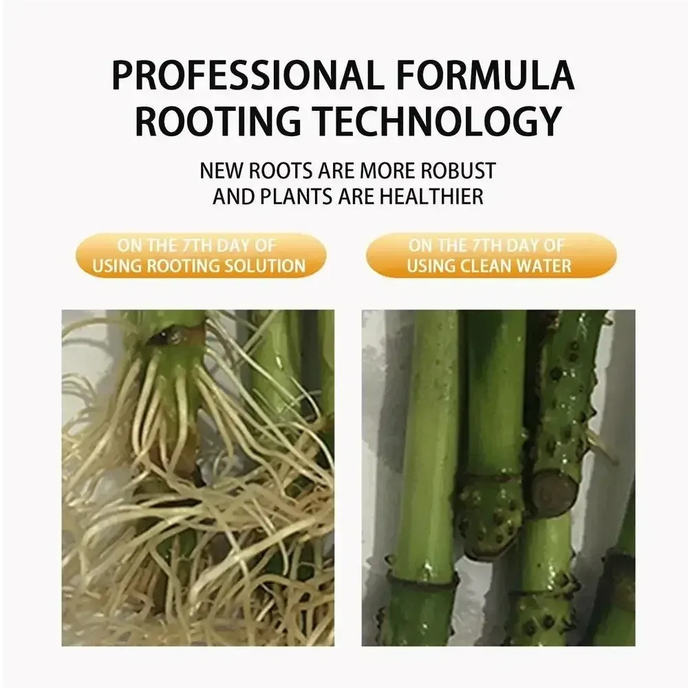 Fast Rooting Stimulator for Plants | Rapid Rooting Agent & Hormone Supplement | Promotes Strong Root Growth for Cuttings, Houseplants, Garden Supplies showcase 2