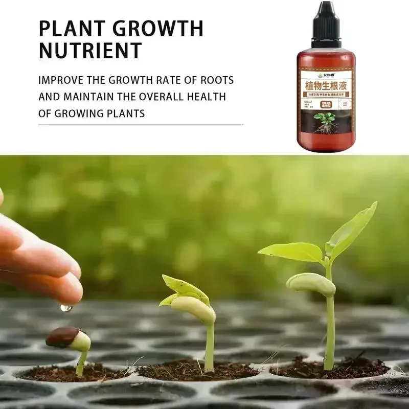 Fast Rooting Stimulator for Plants | Rapid Rooting Agent & Hormone Supplement | Promotes Strong Root Growth for Cuttings, Houseplants, Garden Supplies thumbnail 4