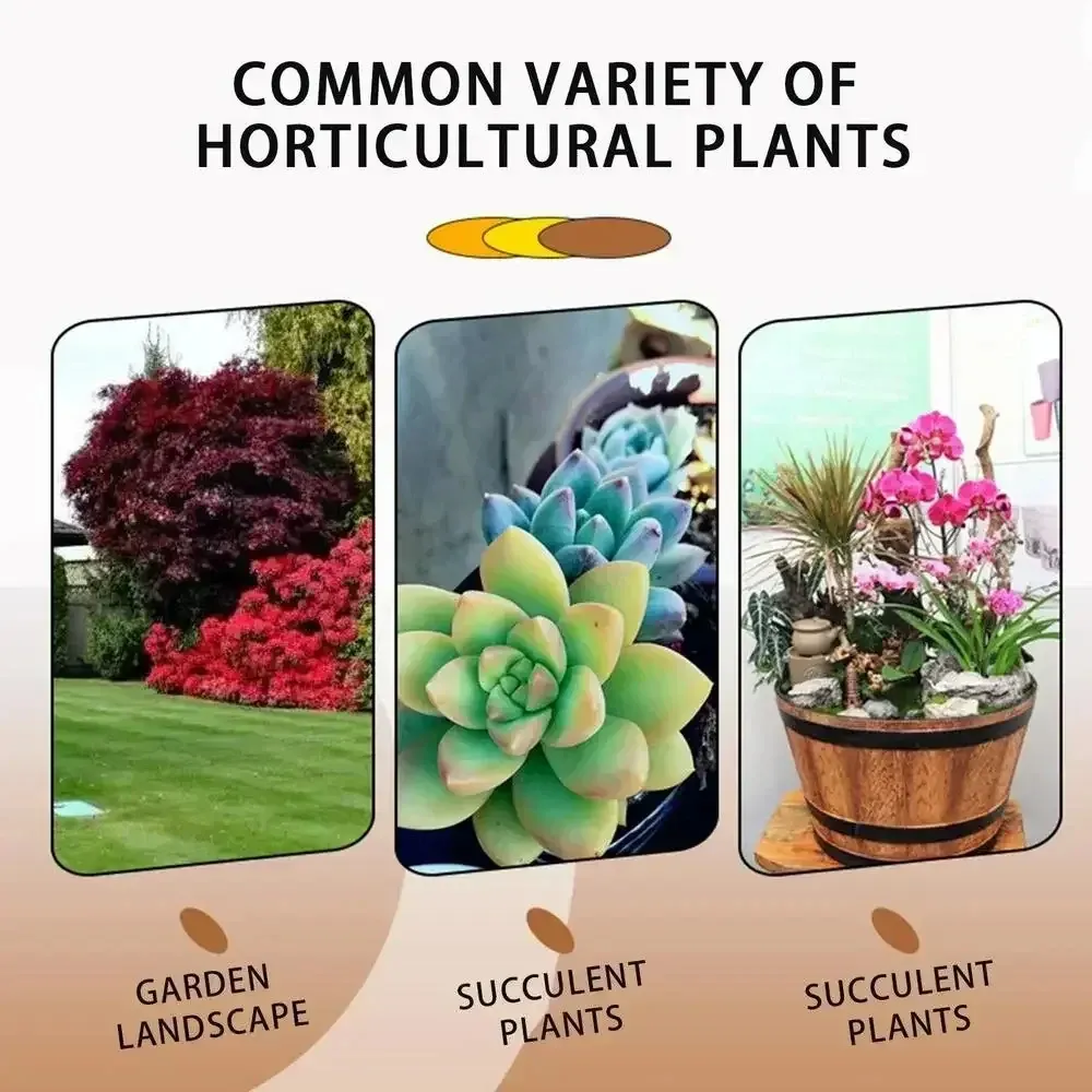 Fast Rooting Stimulator for Plants | Rapid Rooting Agent & Hormone Supplement | Promotes Strong Root Growth for Cuttings, Houseplants, Garden Supplies thumbnail 5