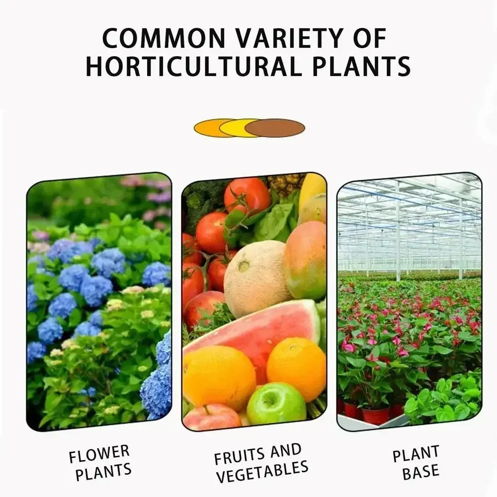 Fast Rooting Stimulator for Plants | Rapid Rooting Agent & Hormone Supplement | Promotes Strong Root Growth for Cuttings, Houseplants, Garden Supplies showcase 4