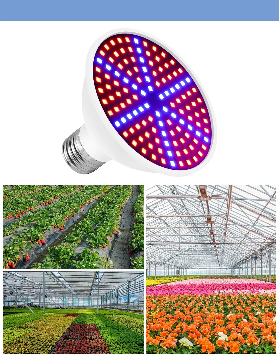 Full Spectrum LED Grow Light Bulb E27 Base 126/200/300 LEDs for Indoor Plants, Hydroponics, Seeds, Flowering - Efficient Heat Dissipation, 20000hr Lifespan showcase 10