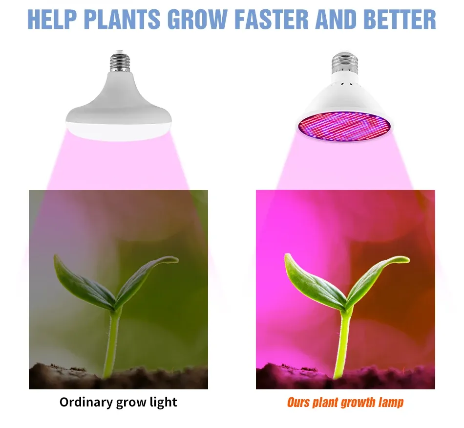 Full Spectrum LED Grow Light Bulb E27 Base 126/200/300 LEDs for Indoor Plants, Hydroponics, Seeds, Flowering - Efficient Heat Dissipation, 20000hr Lifespan showcase 7