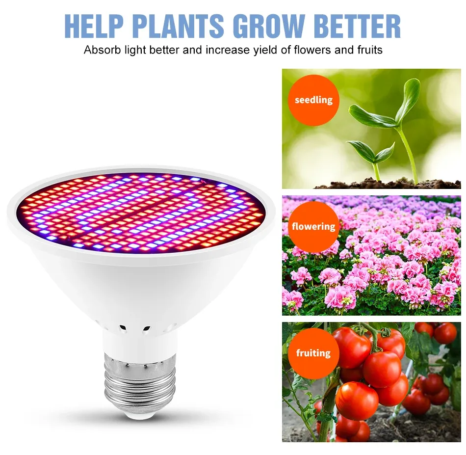Full Spectrum LED Grow Light Bulb E27 Base 126/200/300 LEDs for Indoor Plants, Hydroponics, Seeds, Flowering - Efficient Heat Dissipation, 20000hr Lifespan showcase 5