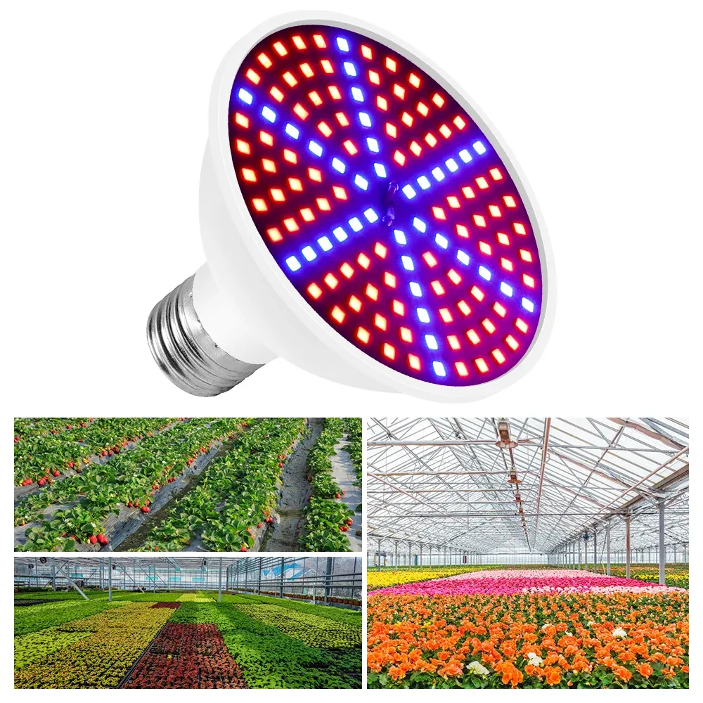 Full Spectrum LED Grow Light Bulb E27 Base 126/200/300 LEDs for Indoor Plants, Hydroponics, Seeds, Flowering - Efficient Heat Dissipation, 20000hr Lifespan thumbnail 6