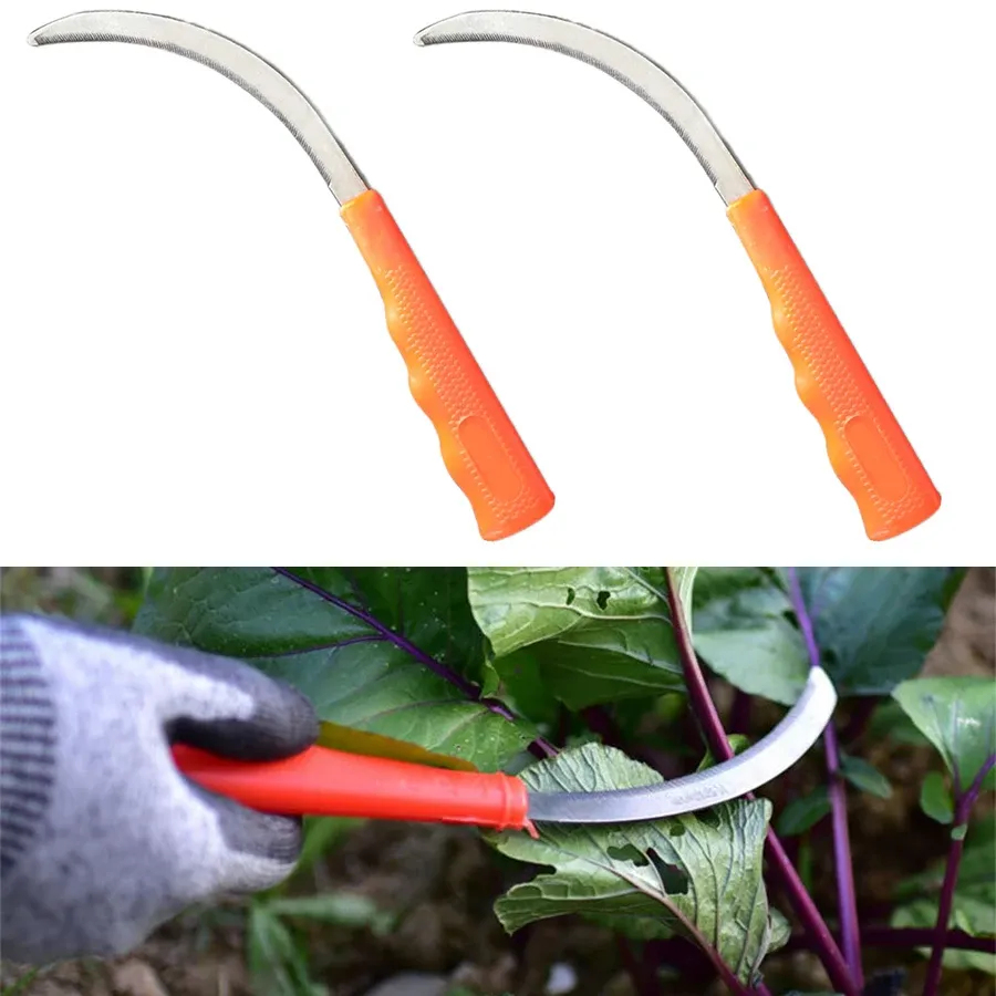 Durable Stainless Steel Sickle Scythe with Serrated Teeth for Efficient Weed Removal, Harvesting Small Grains, and Household Gardening Tasks thumbnail 1