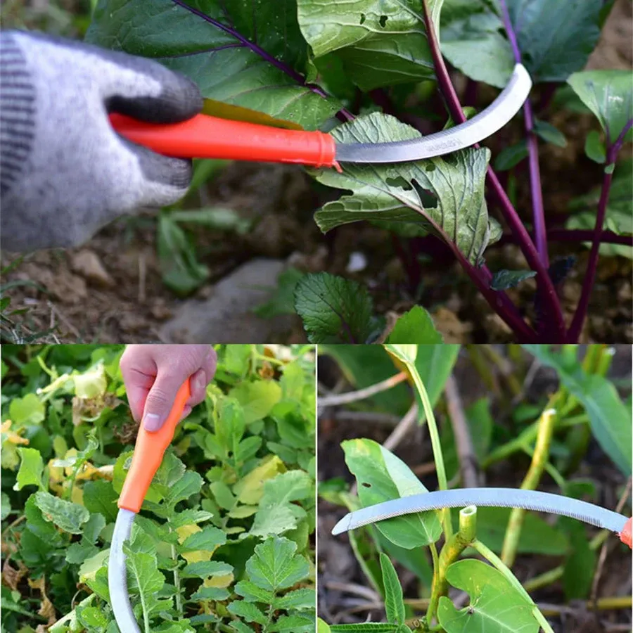 Durable Stainless Steel Sickle Scythe with Serrated Teeth for Efficient Weed Removal, Harvesting Small Grains, and Household Gardening Tasks thumbnail 2