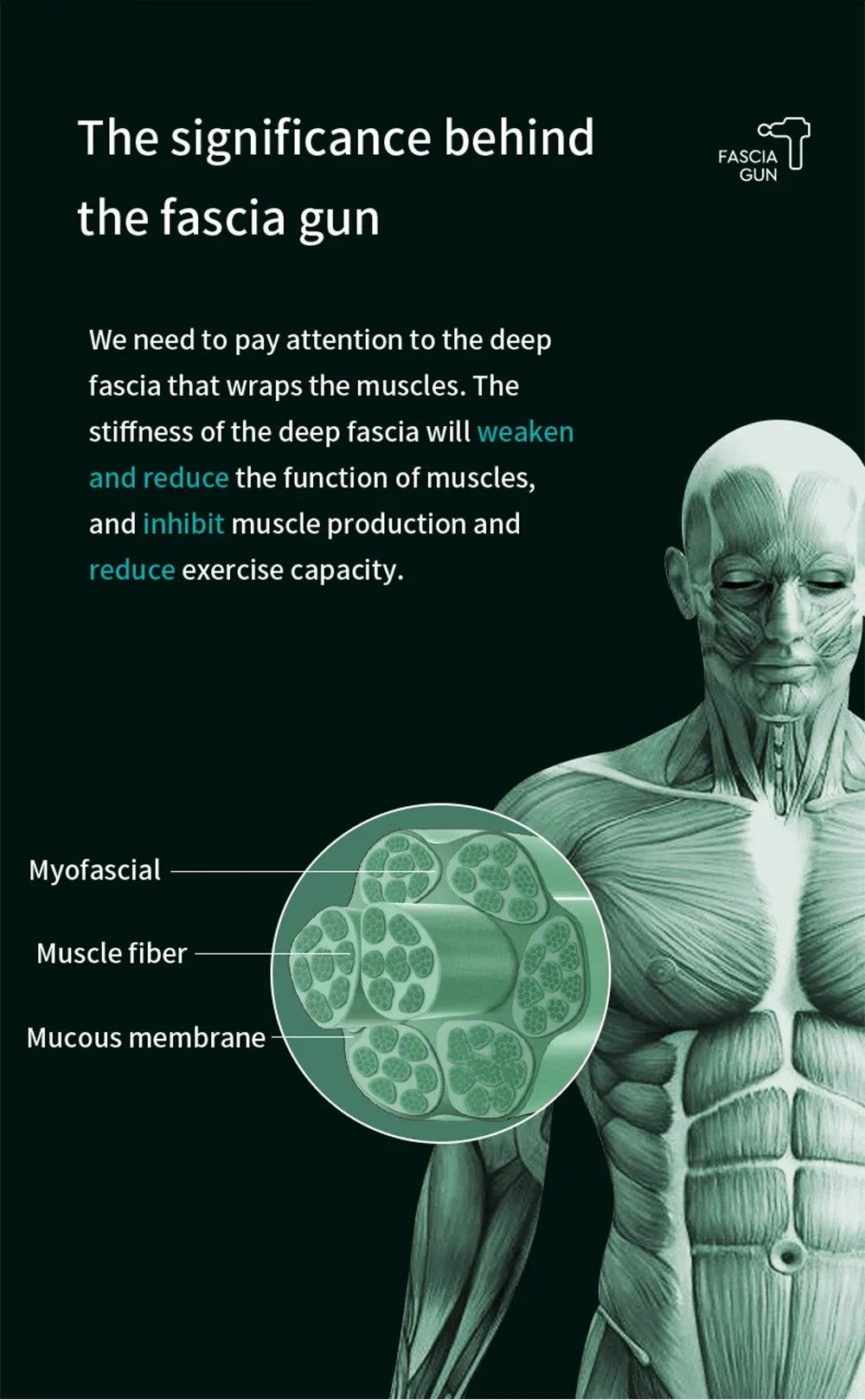 Professional Muscle Massage Gun for Deep Tissue Relief - 80mm Powerful Motor, 16mm Deep Massage, 4 Heads, Smart AI Chip for Fitness & Recovery showcase 6