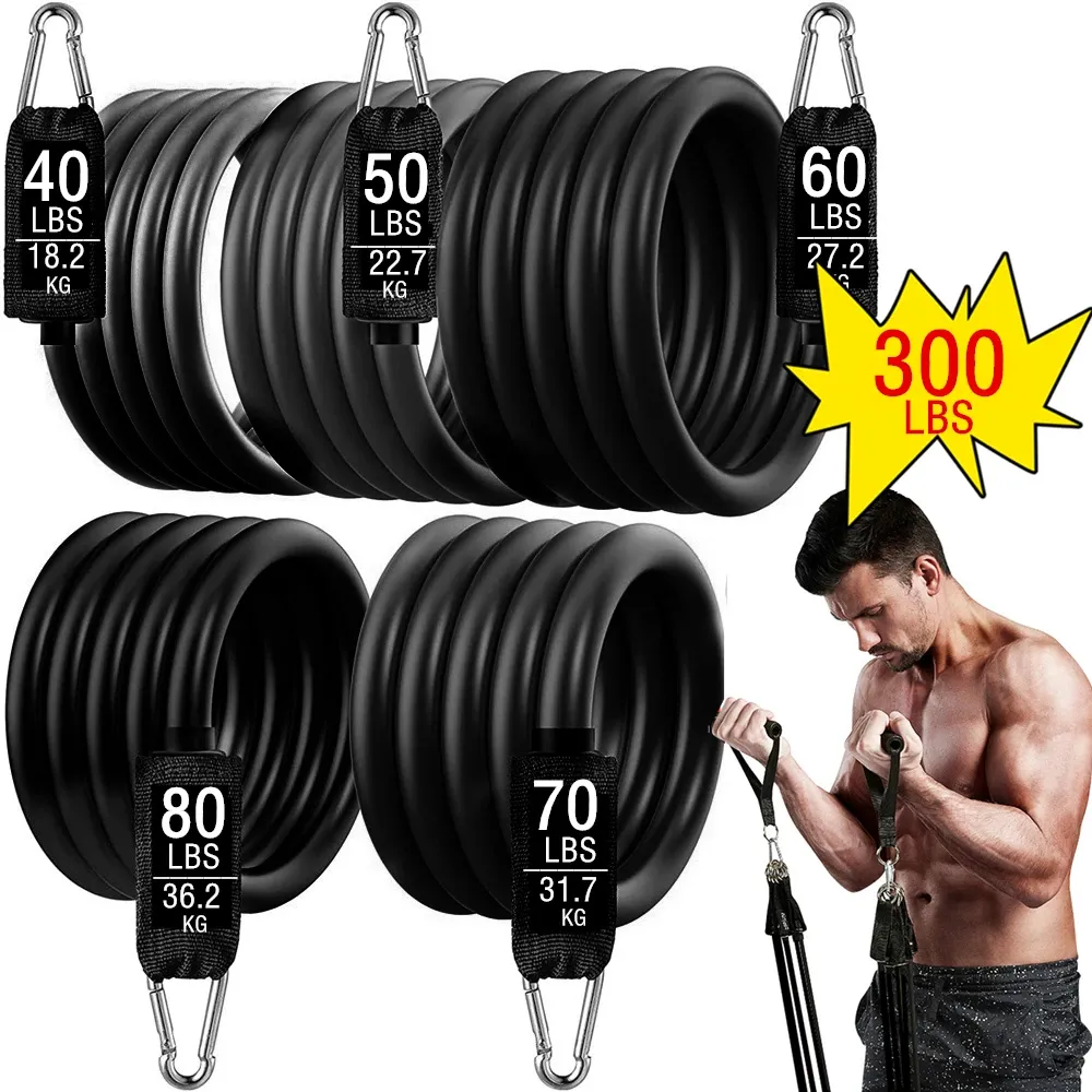 Portable Workout Bar with Resistance Bands Set - Full Body Home Gym Equipment for Pilates, Yoga, Strength Training, Bicep Curls, Squats, and More showcase 18