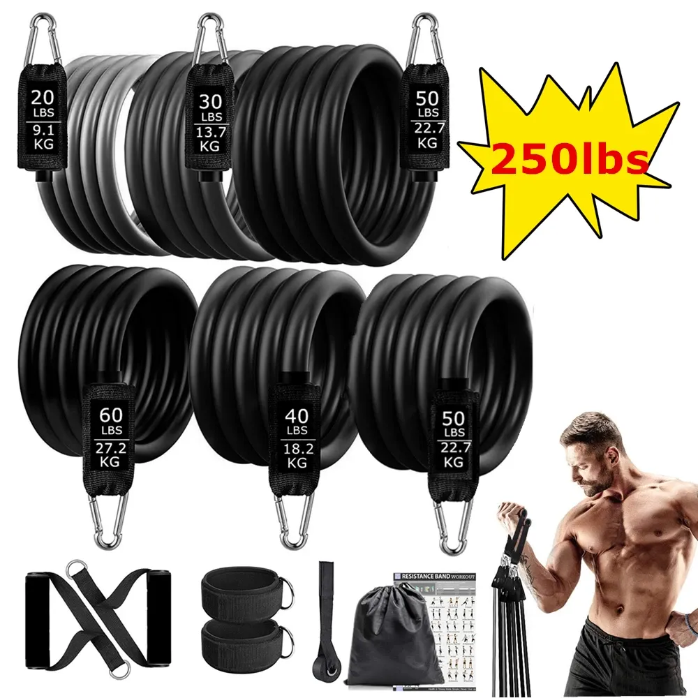 Portable Workout Bar with Resistance Bands Set - Full Body Home Gym Equipment for Pilates, Yoga, Strength Training, Bicep Curls, Squats, and More showcase 28