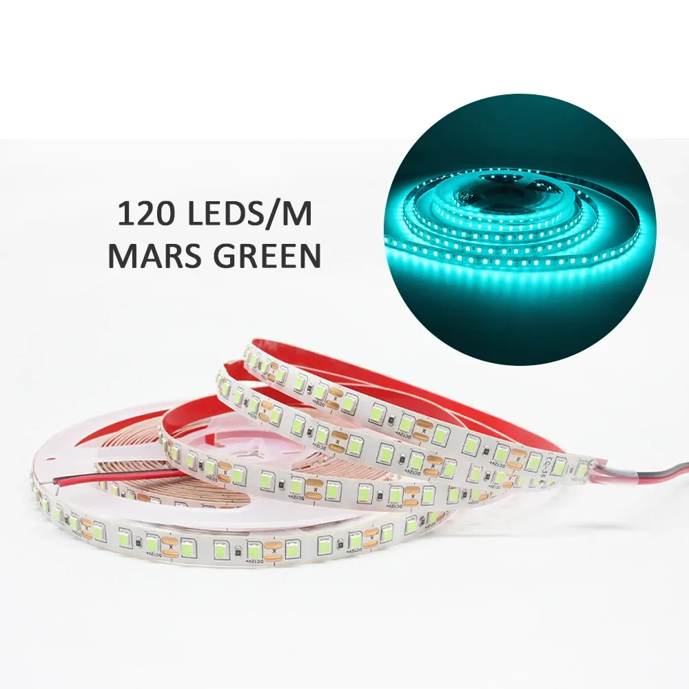 Flexible 12V LED Strip Lights SMD 2835, 120/240 LEDs/M, Warm White, 1M-5M Length, Indoor Home Decor & Accent Lighting showcase 4